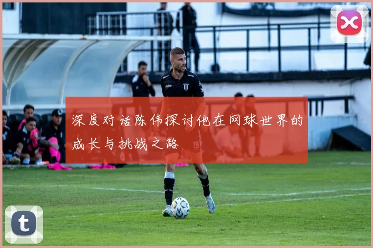 深度对话陈伟探讨他在网球世界的成长与挑战之路