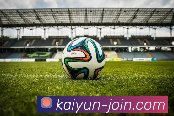 开云平台生态图